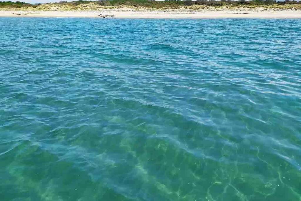 Appartamento Nel Cuore Di Viareggio Exteriör bild